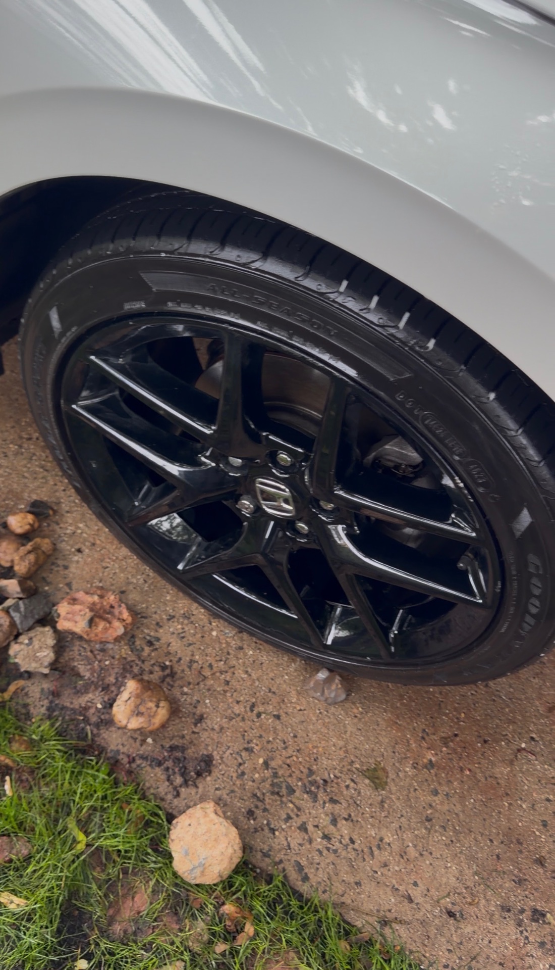 Freshly dressed black wheel after wheel wash